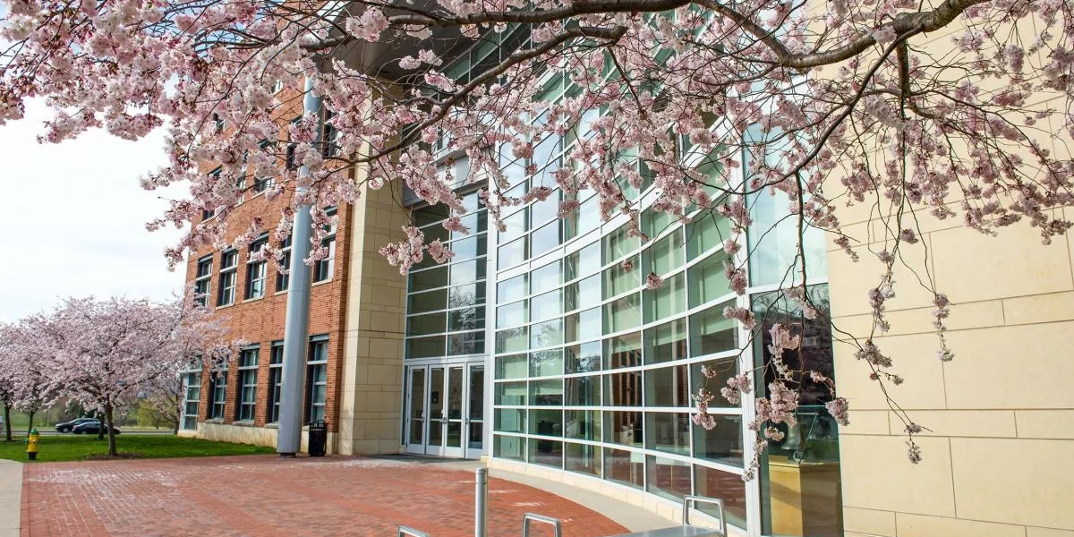 Business Building with Cherry Blossoms