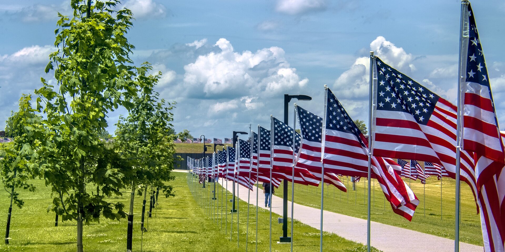 Row of U.S. Flags with sidewalk and trees